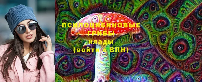 сколько стоит  Вуктыл  Галлюциногенные грибы Cubensis 